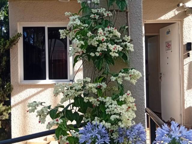 #CA00904 - Casa para Locação em São Paulo - SP