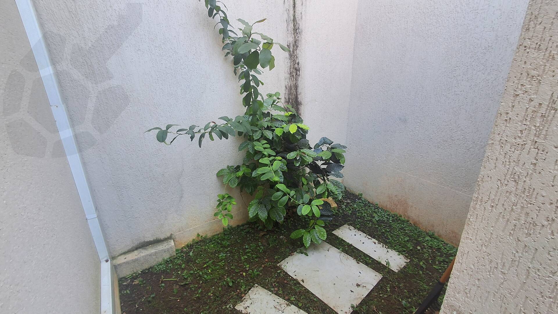 Casa, 3 quartos, 140 m² - Foto 29